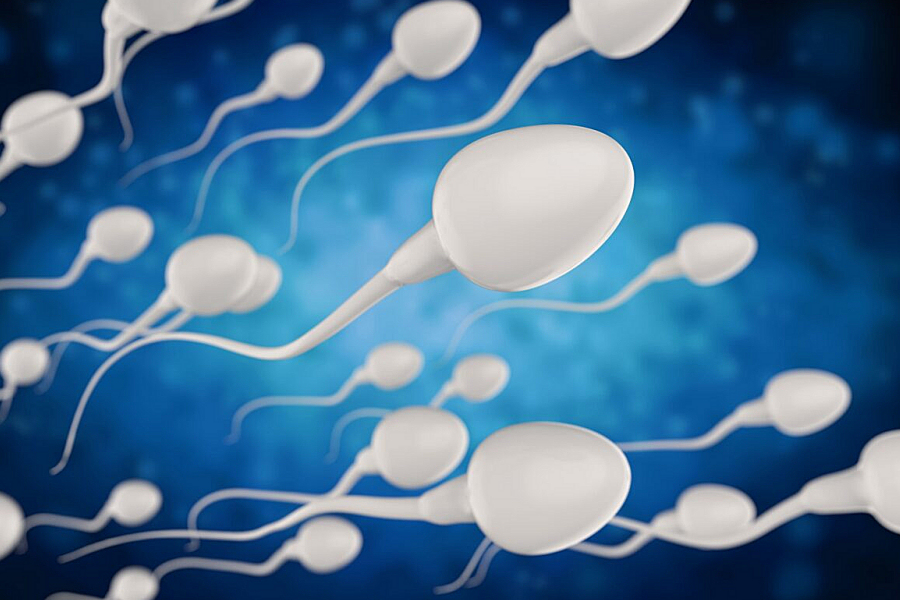 Spermiogramma, quando e perché