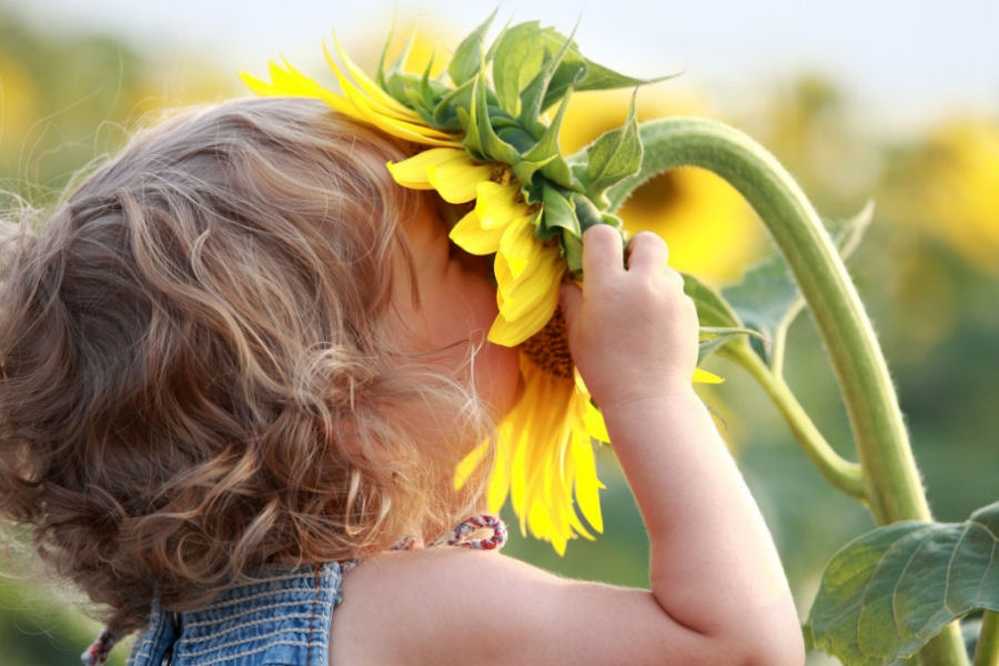 Sintomi delle diverse forme di allergie