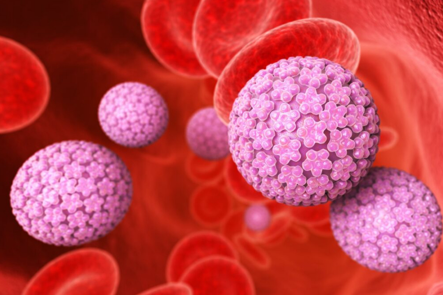 HPV, parliamone...
